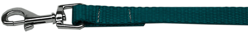 Plain Nylon Pet Leash 3/8in By 4ft Teal