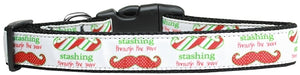 Stashing Through The Snow Nylon Dog Collar Large