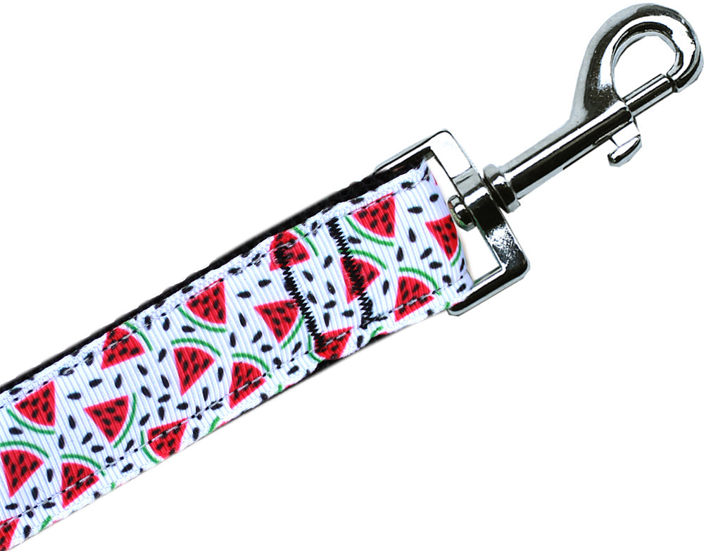 Watermelon Nylon Pet Leash 3/8in By 4ft