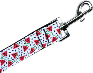 Watermelon Nylon Pet Leash 3/8in By 4ft