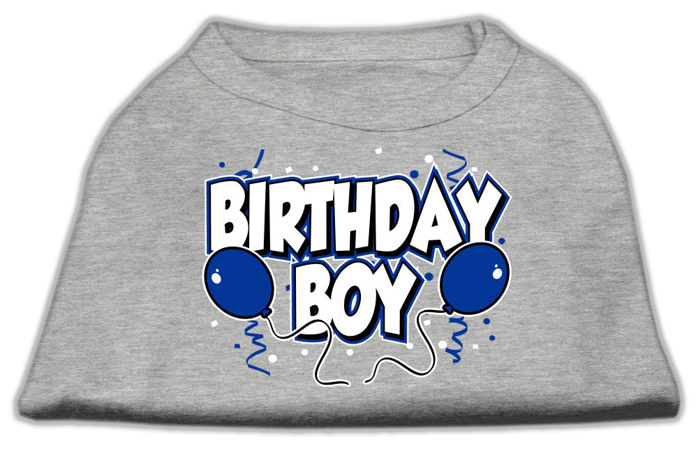 Birthday Boy Screen Print Shirts Grey Sm