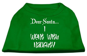 Dear Santa I Went With Naughty Screen Print Shirts Emerald Green Med