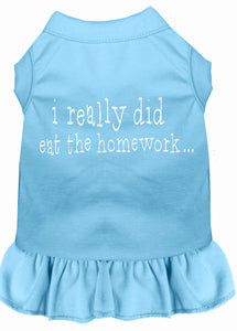 I Really Did Eat The Homework Screen Print Dress Baby Blue Med