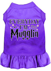 Everyday I'm Mugglin Screen Print Dog Dress Purple Xs