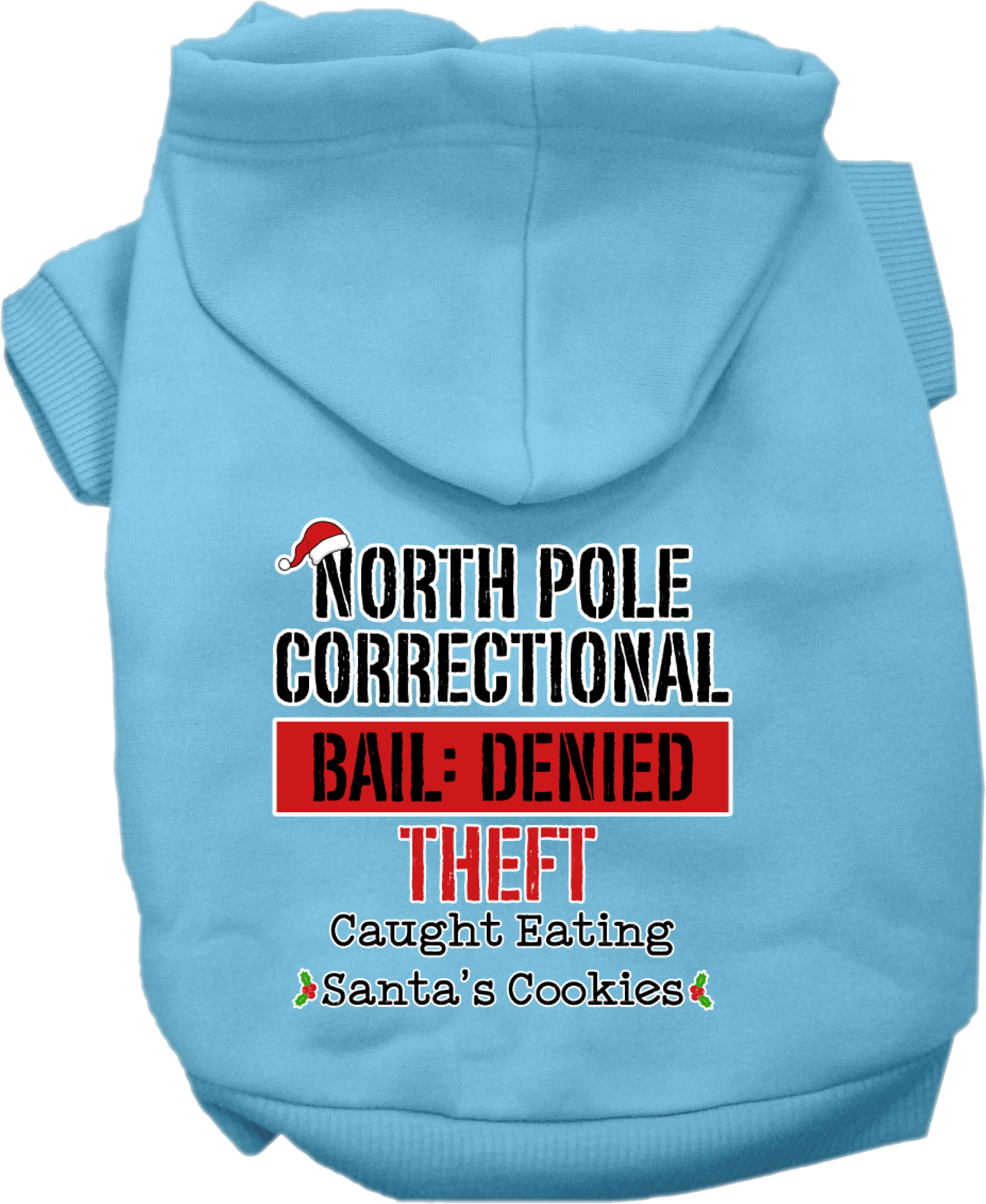 North Pole Correctional Screen Print Dog Hoodie Baby Blue Size 5x