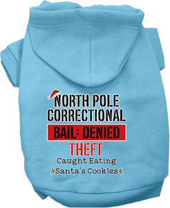 North Pole Correctional Screen Print Dog Hoodie Baby Blue Size 5x