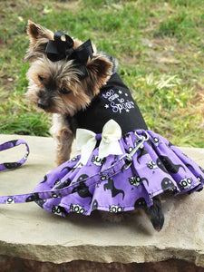Cinny's Too Cute To Spook Halloween Dress