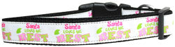 Santa Loves Me Best Nylon And Ribbon Collar and Leash from StayGoldenDoodle.com