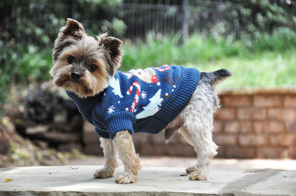Ugly Christmas Reindeer Sweater for Dogs