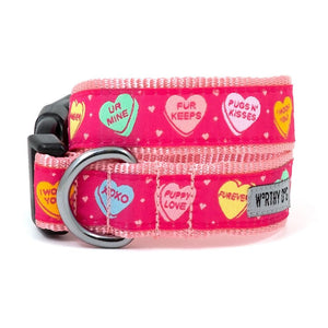 Puppy Love Conversation Hearts Collar &amp; Lead Collection