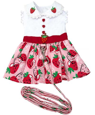 Cinny's Strawberry Picnic Dress