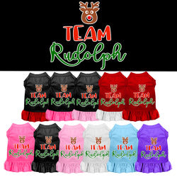 Team Rudolph Screen Print Ruffle Dress
