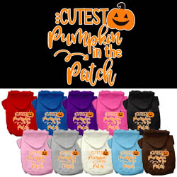 Cutest Pumpkin in the Pumpkin Patch Dog Hoodie from StayGoldenDoodle.com