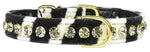 Tropical Dazzler Zebra Crystal Collar - staygoldendoodle.com