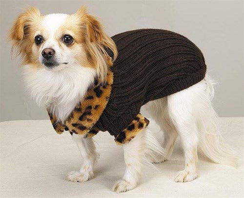 Windsor Sweater With Leopard Trim