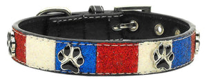Patriotic Ice Collars Paws Match Leash - staygoldendoodle.com