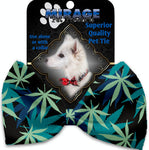 Mary Jane Blues Pet Bow Tie Collar Accessory With Velcro - staygoldendoodle.com