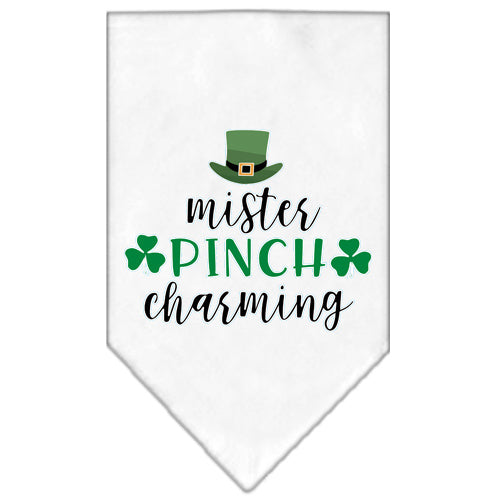 Mister Pinch Charming Screen Print Bandana White Large - staygoldendoodle.com
