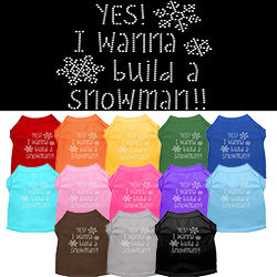 Yes! I want to build a Snowman Rhinestone pet shirt