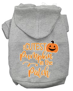Cutest Pumpkin in the Pumpkin Patch Dog Hoodie from StayGoldenDoodle.com