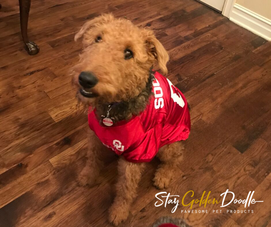 Oklahoma Sooners Pet Jersey - staygoldendoodle.com