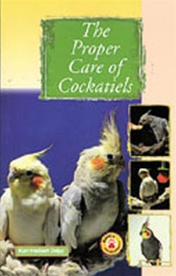 The Proper Care of Cockatiels - staygoldendoodle.com