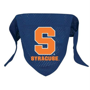 Syracuse Orange Pet Mesh Bandana - staygoldendoodle.com