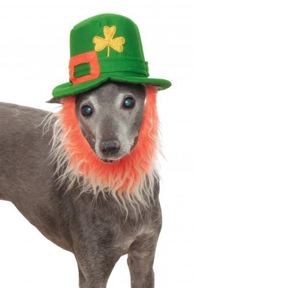 Leprechaun Pet Hat With Beard - staygoldendoodle.com