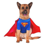 Big Dogs Superman Pet Costume