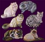Kitty Magnets, Set of 6 - staygoldendoodle.com