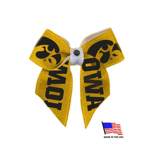 Iowa Hawkeyes Pet Hair Bow - staygoldendoodle.com