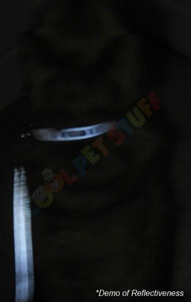 New York Giants Reflective Football Pet Collar - staygoldendoodle.com