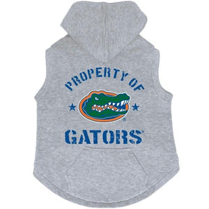 Florida Gators Hoodie Sweatshirt - staygoldendoodle.com