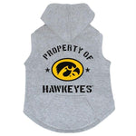 Iowa Hawkeyes Hoodie Sweatshirt - staygoldendoodle.com