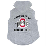 Ohio State Buckeyes Hoodie Sweatshirt - staygoldendoodle.com