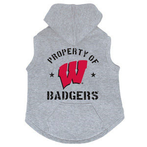 Wisconsin Badgers Hoodie Sweatshirt - staygoldendoodle.com