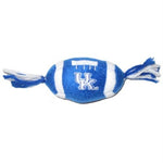 Kentucky Wildcats Catnip Toy - staygoldendoodle.com