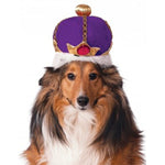Mardi Gras King's Crown - S/M - staygoldendoodle.com