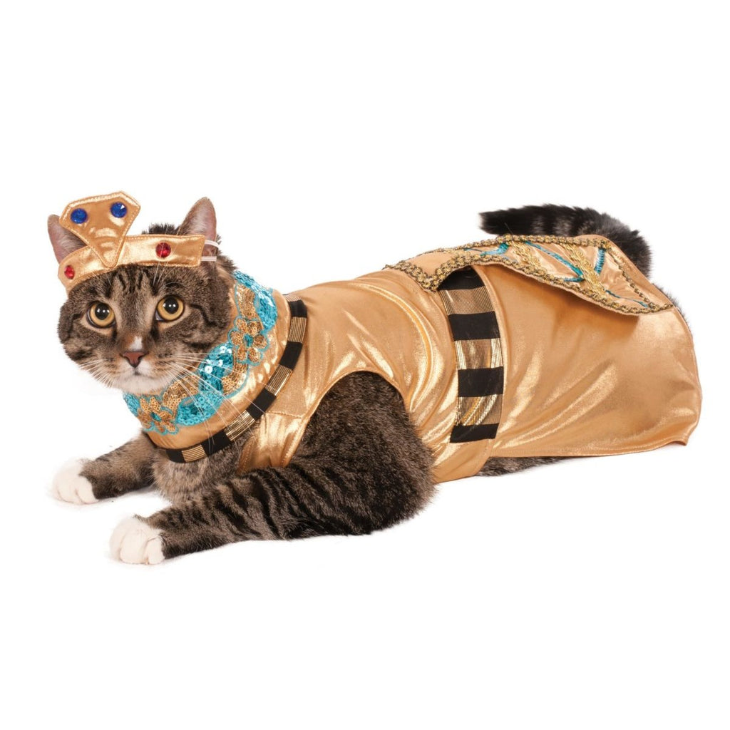 Cleopatra Pet Costume - staygoldendoodle.com