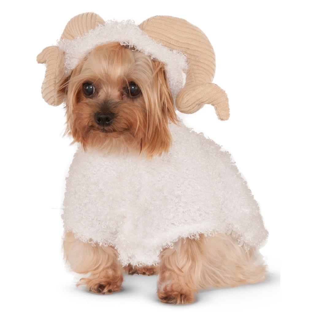 Ram Pet Costume - staygoldendoodle.com