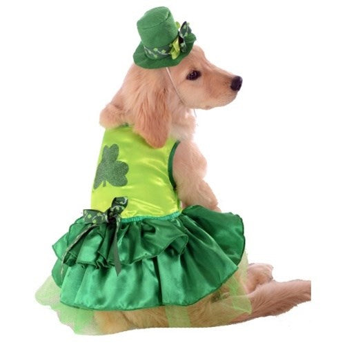 Lucky Dog Pet Costume - staygoldendoodle.com