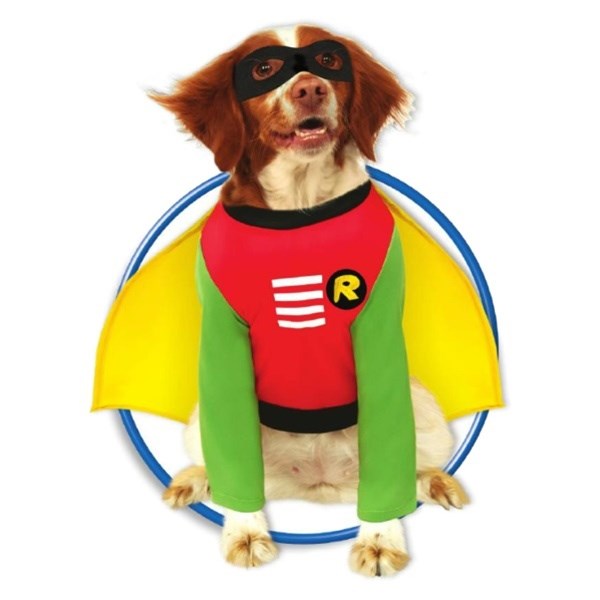 Robin Pet Costume - staygoldendoodle.com