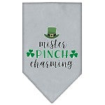 Mister Pinch Charming Screen Print Bandana from StayGoldenDoodle.com